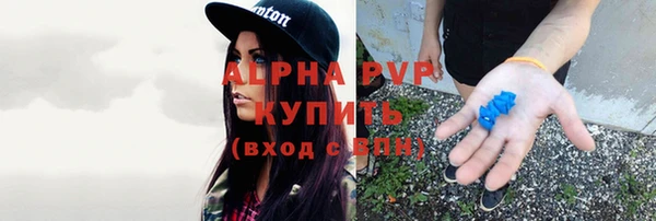 спиды Алексеевка