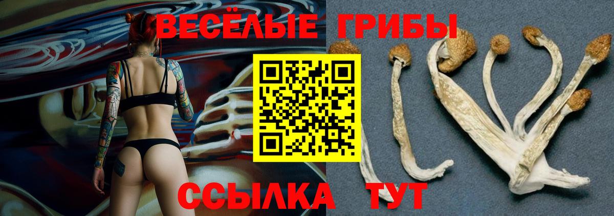 Псилоцибиновые грибы Magic Shrooms  Галлюциногенные грибы Magic Shrooms  Старая Русса  Вход с VPN 